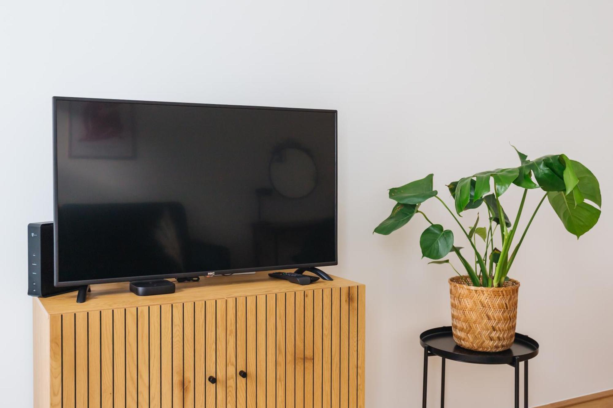 Brand Cozy Apartment Вена Экстерьер фото